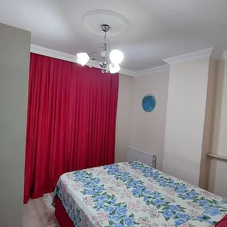 شقة مفروشة في Furnished In Apartment Istanbul